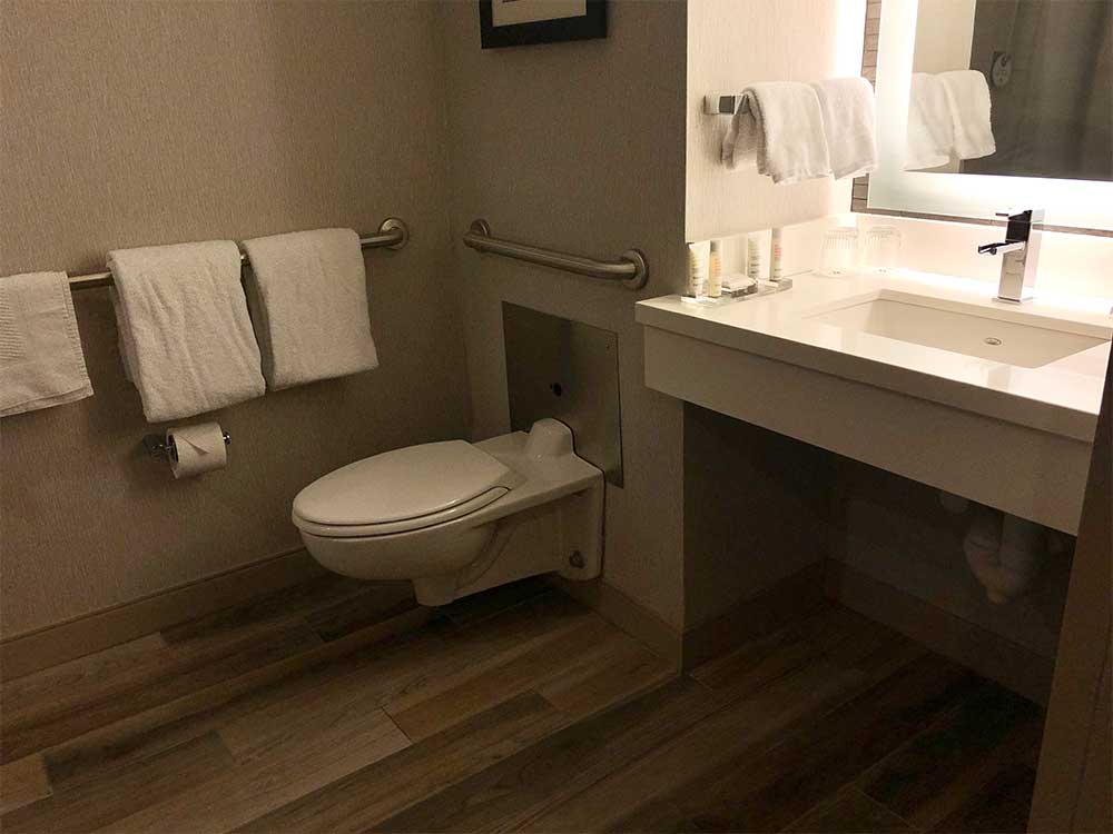 Toilet and sink.