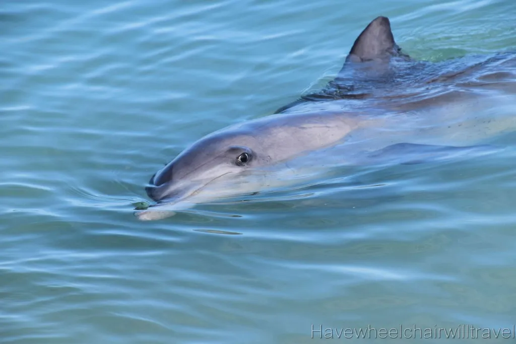 RACV Monkey Mia Dolphin Resort