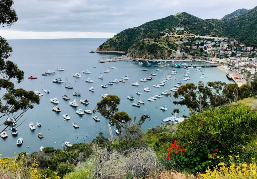 Catalina Island