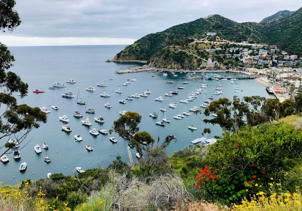 Catalina Island