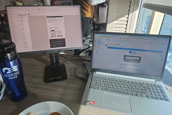 Working While On A Cruise