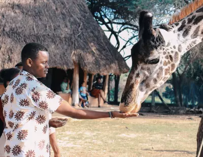 wheelchair safari in kenya